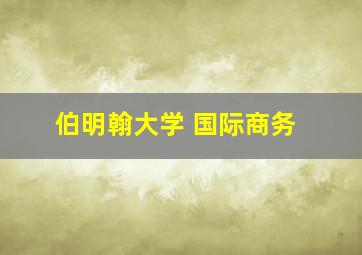 伯明翰大学 国际商务